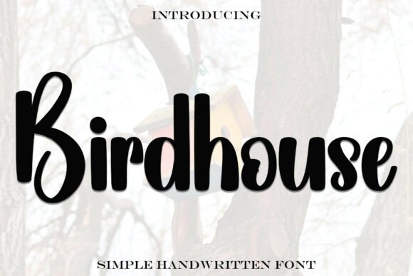 Birdhouse: A Charming Handwritten Font for Web Design