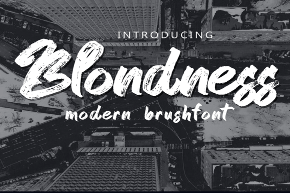 Blondness: A Modern Script Font for Web Design