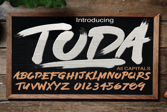 Toda: A Bold Curve Script Font for Editorial Design